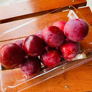 採れたて甘いプラム⭐︎神奈川県横須賀市⭐︎格安フルーツ果物