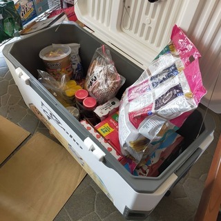 コーホー COHO クーラーボックス ブローモールド 165 QT 156L
