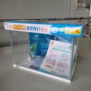 【ネット決済】0607013② 6月14日値下げ！ 小型水槽 約15L