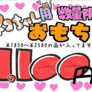 猫ちゃん用のおもちゃ　詰め合わせ　まとめ売り