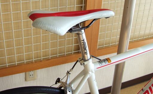 大きめサイズのロードバイク 洗車クリーニング仕上げ TRIACE S100