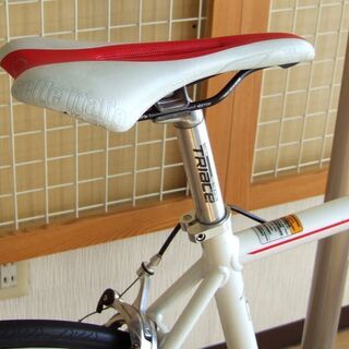 大きめサイズのロードバイク 洗車クリーニング仕上げ TRIACE S100 