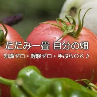 🍅サポート付きレンタル畑【ちょこっと農業】🍅空き区画少しあります。