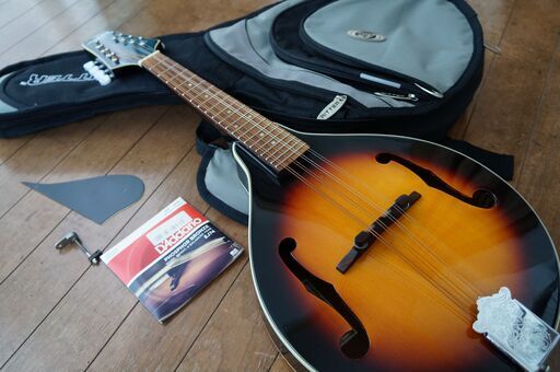 ARIA　マンドリン　AM200BS　中古　ギグバッグ付き