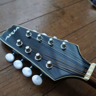 ARIA マンドリン AM200BS 中古 ギグバッグ付き