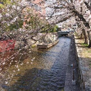 カフェ・美景巡り交流会(京都・滋賀)