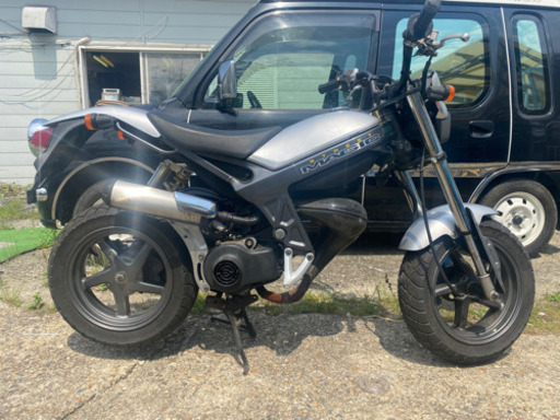 ストリートマジック ストマジ 50cc ベース 書類付き | www.roastedsip.com