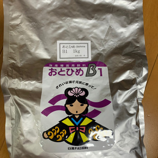 《めだかのえさ》おとひめB1 100g【残り2個】