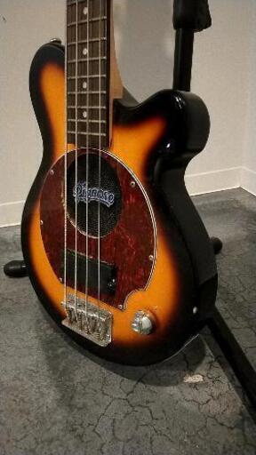 Pignose bass ピグノーズベース