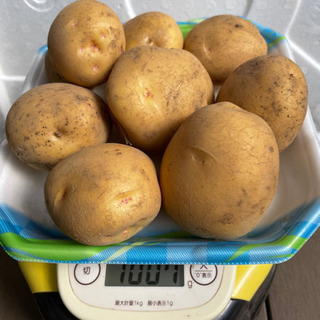 無農薬栽培　ジャガイモ(キタアカリ) 1kg