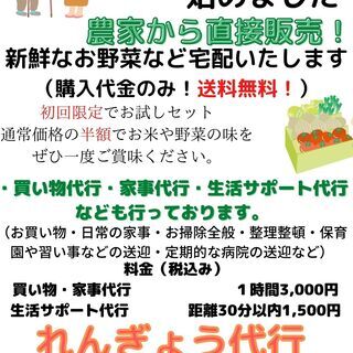 ☆旬のお野菜・お米など送料無料配達サービス☆送迎☆お買い物・家事代行☆