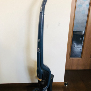 掃除機　ジャパネット　Electrolux ZB3513DB