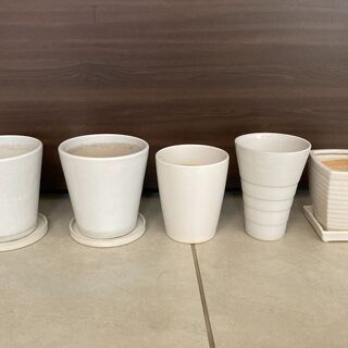 白いシンプルな陶器の植木鉢（左3つは無印良品）