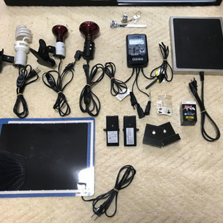 爬虫類ケージ&小物セット