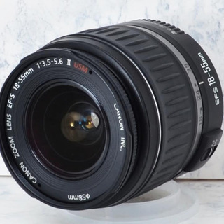 練習に最適○初心者向け○すぐ使える○キャノン EOS kiss N 1ヶ月