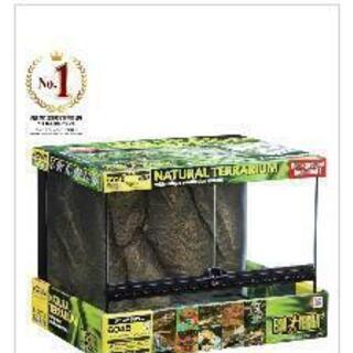 ゲージ　ライトスタンド付き