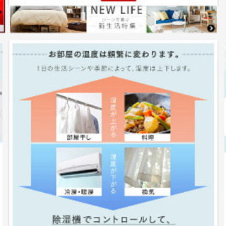 空気清浄機能付き除湿器 アイリスオーヤマ PD-A140-未使用w