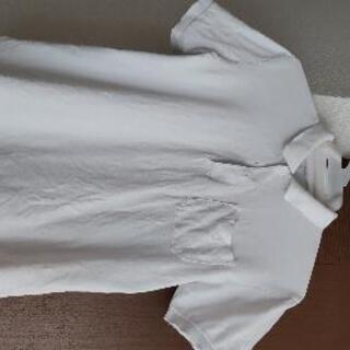 白ポロシャツ160cm