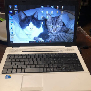 金子光晴詩集鮫直筆原稿肉筆草稿原稿限定1部小寺謙吉小寺和夫