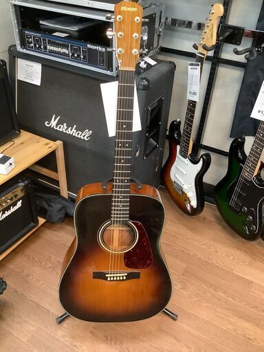 MORRIS・M-12TS】アコースティックギター販売中! | ptpnix.co.id