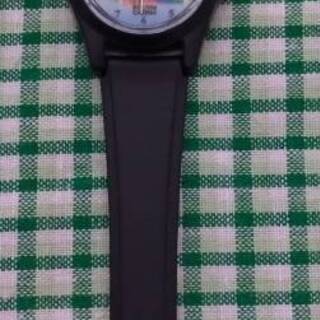 【実質無料】ボリビア モラレス大統領 腕時計 土産（レディース）