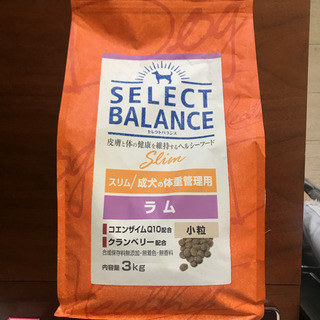 中古セレクトバランスが無料 格安で買える ジモティー