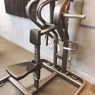 ★期間限定！格安大特価トレーニングマシン！ローロウ★DELTA FITNESS デルタフィットネス SDH05