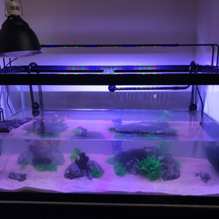 水槽　LEDライト　UVライト　棚　セット！