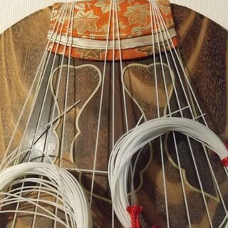 琴 値下げしました！