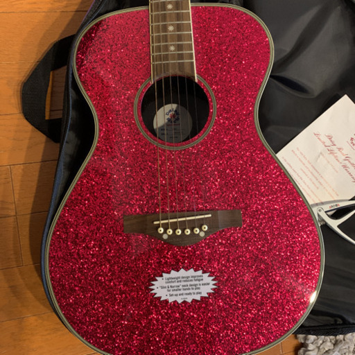 Daisy Rock デイジーロック アコースティックギター(ソフト