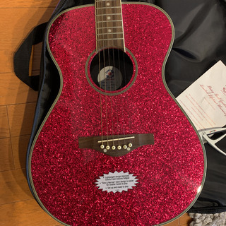 Daisy Rock デイジーロック アコースティックギター(ソフトケース 