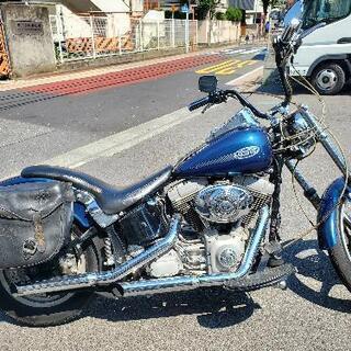 ハーレー 車検付き 2000年 ソフテイル ツインカム