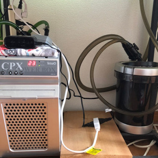 水槽用クーラー、外部濾過、レッドビーおよそ30匹ほど