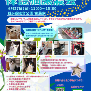 第１６回保護猫譲渡会in蜂が峯総合公園