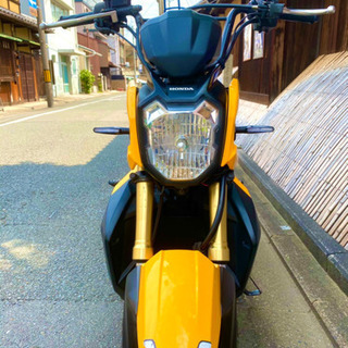ホンダ ズーマーX 110cc ZOOMER X カスタム多数