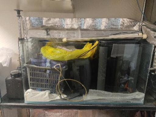 90水槽一式+飼育用品　水草　大型魚　繁殖用　引き取り限定
