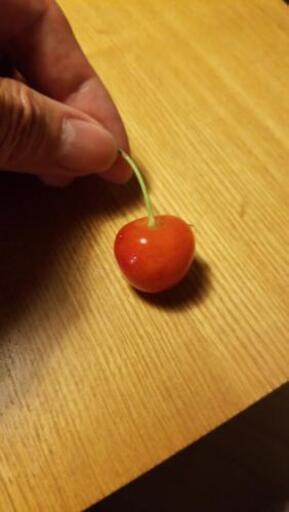 種から 家庭菜園 育て方 花粉症 新静岡の教えての助け合い ジモティー