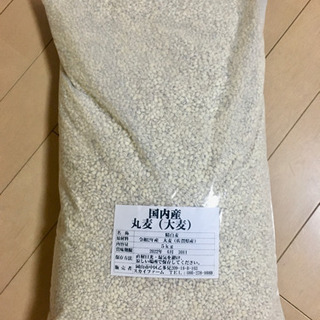 令和2年 大麦 佐賀県産 丸麦(大麦) 5kg1袋 α化