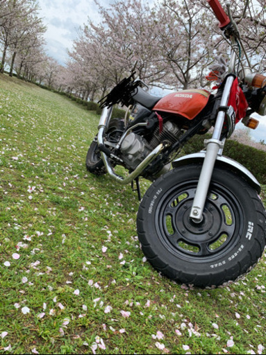 エイプ50fi 1000台限定カラー