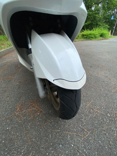 シグナスX SE44J 2007年式 【公式通販】