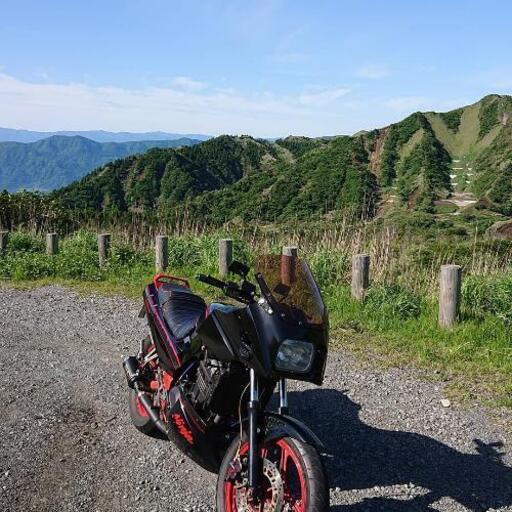 実動 現状 カワサキ GPX250R GPZ900Rフェイス