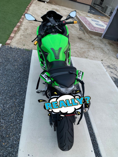 ニンジャ250 NINJA250 ABS スペシャルエディション 交換可
