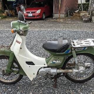 専用出品30 61FUBgVs0SL.jpg_BO30,255,255,