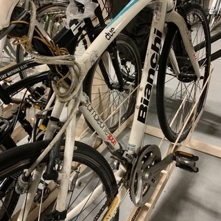 ビアンキ カメレオンテ2