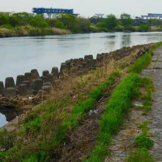 神奈川県のブラックバス メンバー募集 ジモティー
