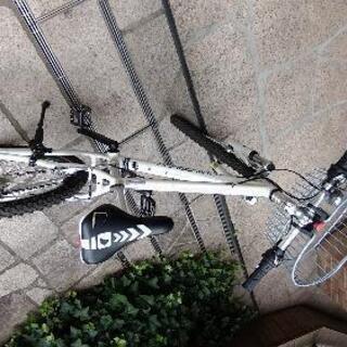 ルイガノ・ジュニアバイク・J24・24インチ・ホワイト