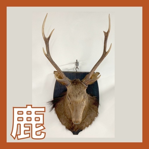 値下げ相談◎☆良品☆鹿の壁掛け・アニマルヘッド・オブジェ・インテリア・剥製