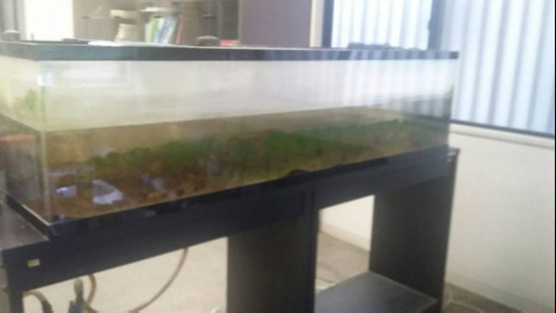 大型アクリル水槽セット NISSO 1800×45×45cm  専用台付き