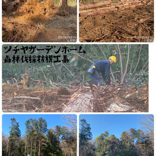 山林伐採抜根　造成工事　竹林伐採抜根工事ならお任せ下さい。所沢市 - 剪定/造園