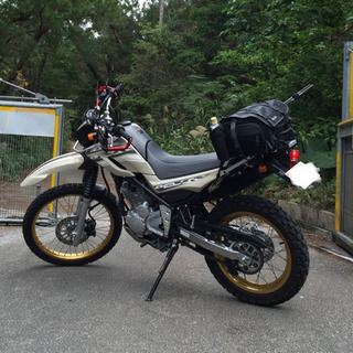 セロー250　2014限定色　アーガイル　ベージュ　4500キロ